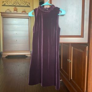 Ann Taylor Purple Velvet shift dress NWT Size XSP